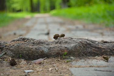 Similar image 11443280