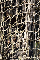 Similar image 11446052