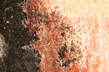 Similar image 11459799