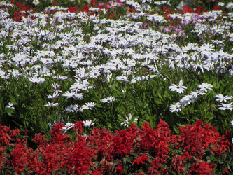 Similar image 11446087