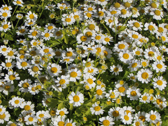 Similar image 11446088