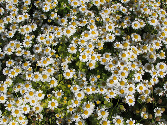 Similar image 11446091