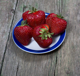 Similar image 11445353