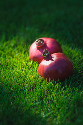 Similar image 11445413