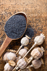 Similar image 11447730