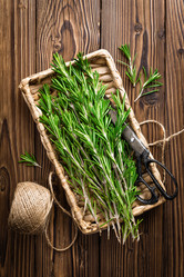 Similar image 11448149