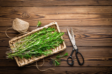 Similar image 11448086