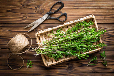 Similar image 11448168