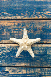 Similar image 11448227