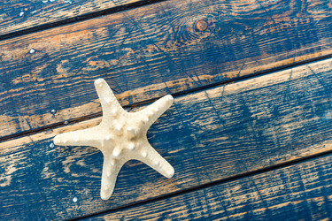 Similar image 11448188