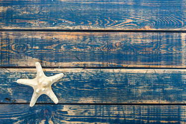 Similar image 11448307