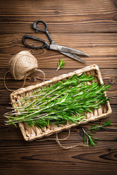 Similar image 11448386