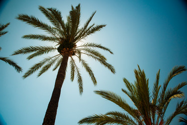 Similar image 11454453