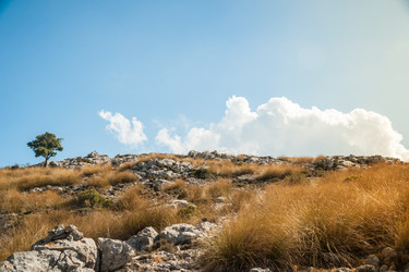 Similar image 11454455