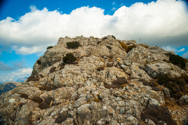 Similar image 11454469