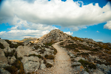 Similar image 11454487