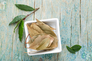 Similar image 11448310