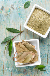 Similar image 11448350