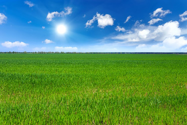 Similar image 11448388