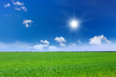 Similar image 11448410