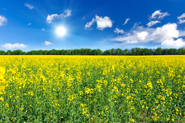 Similar image 11448749