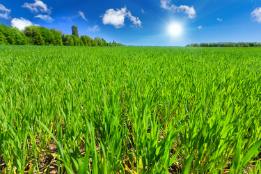 Similar image 11448828