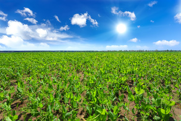 Similar image 11448911