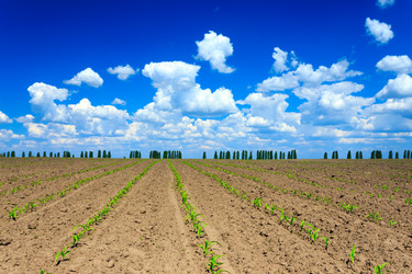 Similar image 11448951