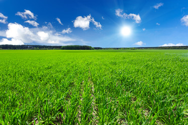 Similar image 11448989