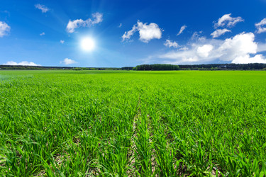 Similar image 11448990