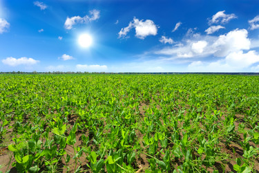 Similar image 11449031