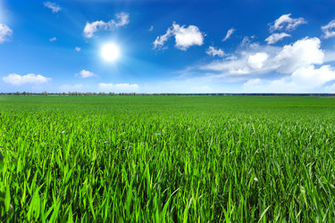 Similar image 11449050