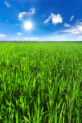 Similar image 11449089