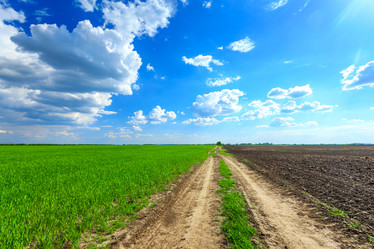 Similar image 11449090