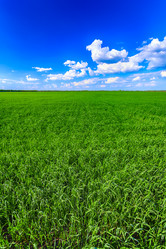 Similar image 11449117