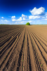 Similar image 11449114