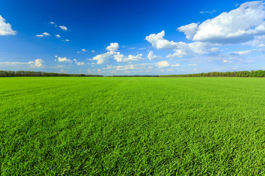 Similar image 11449116