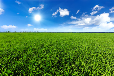 Similar image 11449169