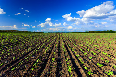 Similar image 11447438