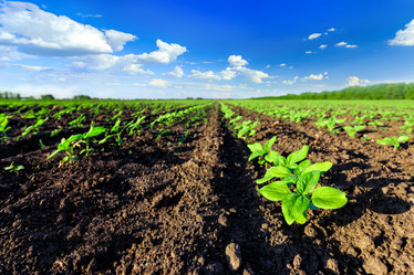 Similar image 11447486