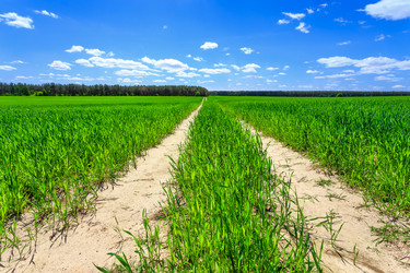 Similar image 11447488