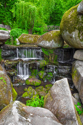 Similar image 11447653