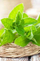 Similar image 11448432