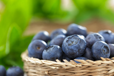 Similar image 11448452