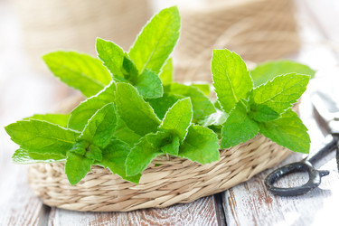 Similar image 11448372