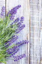 Similar image 11448509