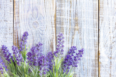 Similar image 11448591