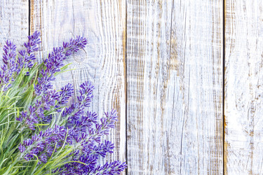 Similar image 11448711