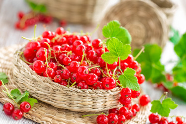 Similar image 11448931