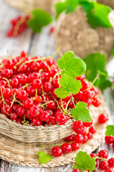 Similar image 11448971